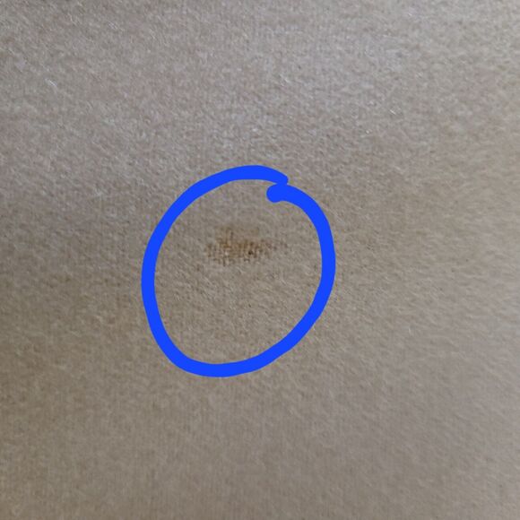 TSE SAY Wool & Cashmere A-Line Camel Skirt Women's SZ 31 Waist Made in Italy - Picture 9 of 10